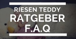 Riesen teddy Ratgeber FAQ Artikel