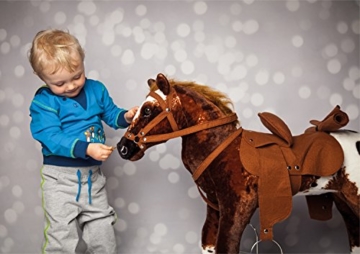 Cowboypferd Anglo-Araber Happy People 58937 