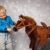 Cowboypferd Anglo-Araber Happy People 58937 