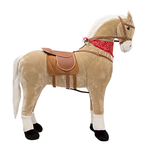 Kinderpferd Zum Reiten