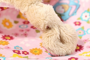 sigikid, Mädchen, Schnuffeltuch Hase, Bungee Bunny, Rosa/Bunt, 48933 - 6
