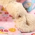 sigikid, Mädchen, Schnuffeltuch Hase, Bungee Bunny, Rosa/Bunt, 48933 - 6